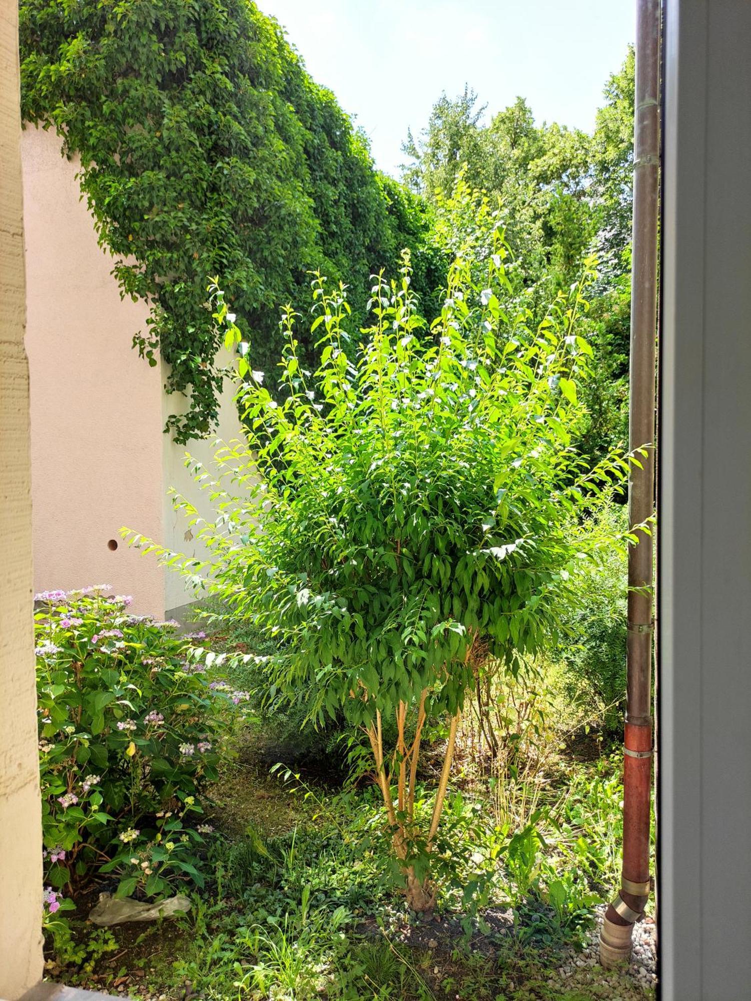 Exklusive Wohnung Mit Kingsize-Bett I 75Qm I Am See I Netflix I Gratis Kaffee & Teeangebot Chemnitz Kültér fotó